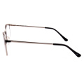 Factory Directly Double Colored Copper Reading Glasses with Acetate Tip